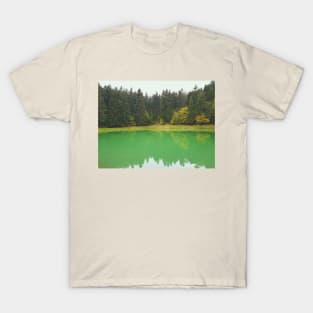 Forest Lake With Reflection In Water T-Shirt